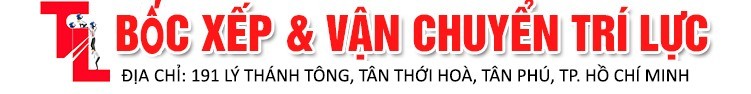 Bốc Xếp Trí Lực